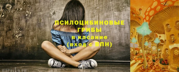 амф Алексин