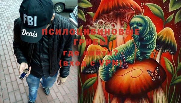амф Алексин