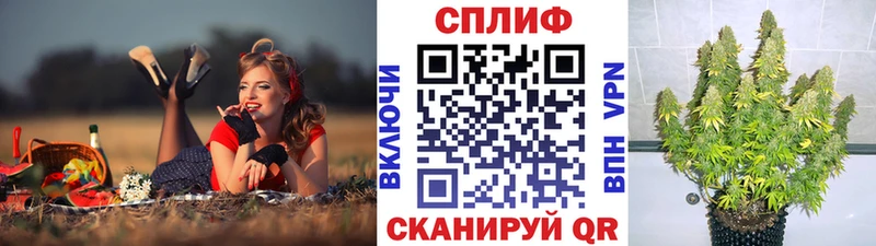 МАРИХУАНА тримм Отрадная