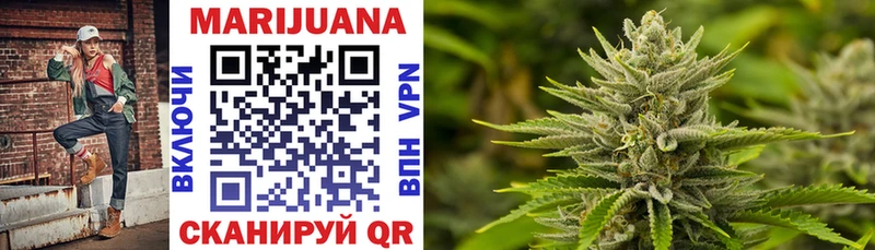 где купить наркотик  Отрадная  Канабис ГИДРОПОН 